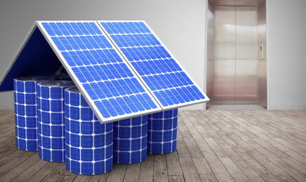 zonneman zonnepanelen