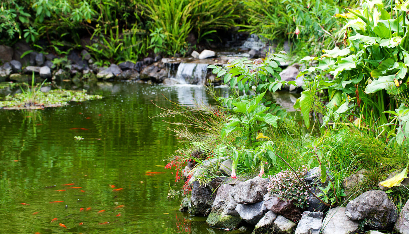 vijverpomp zonne-energie