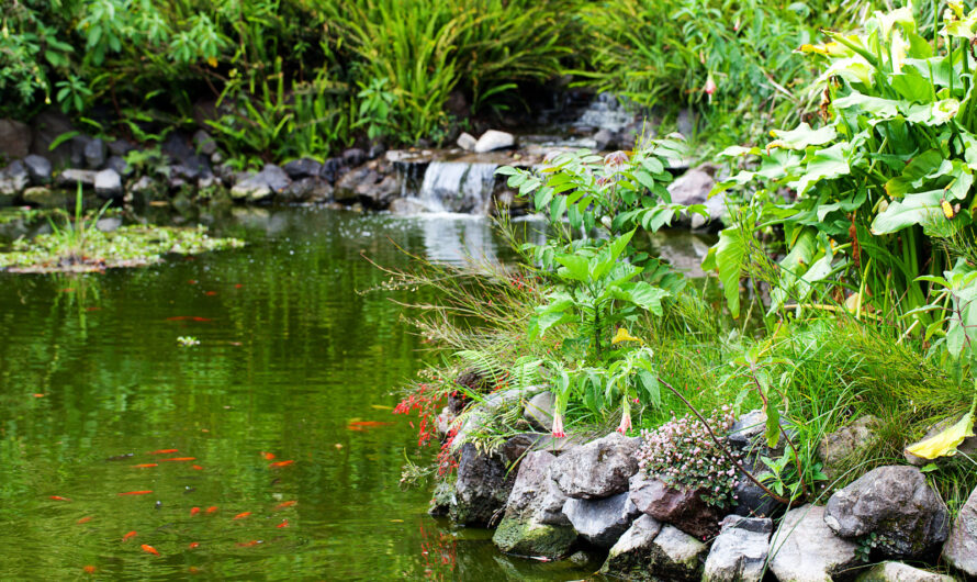 Zorg voor je hibiscus: snoeien voor een prachtige bloei