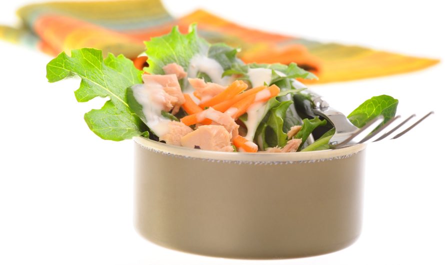 Kies duurzaam: Welke tonijn in blik is het meest milieuvriendelijk?