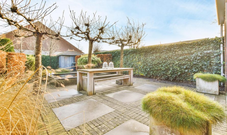 Voordelen en tips voor het bouwen van een serre aan uw huis